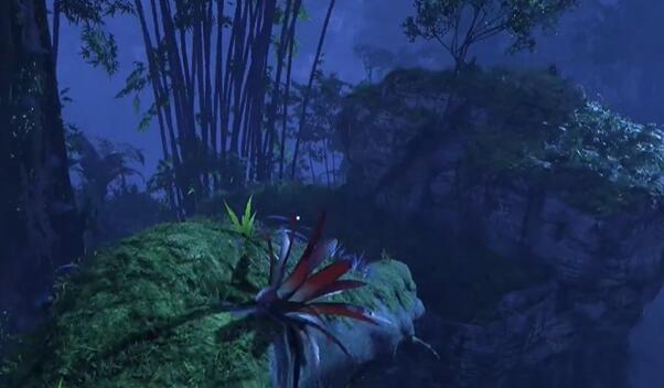 �������˶����߾�ˮ����ͼ�����۲췽��