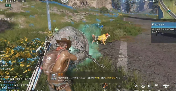 ���������żӺӹ�������ʯͷ������