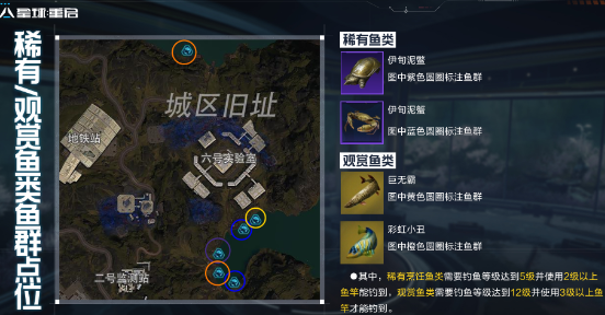 ����������ɫ��ֲ���λ��һ��