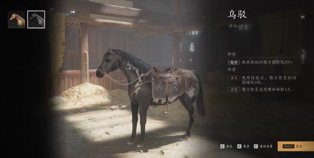 ����ʮ���������÷�������