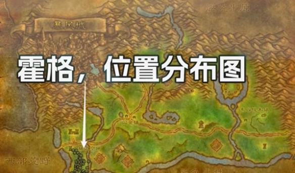 ħ������̽������ʦ����ָ��ô���