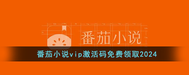 ����С˵vip�����������ȡ2024