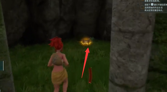 ������³ɭ��������������