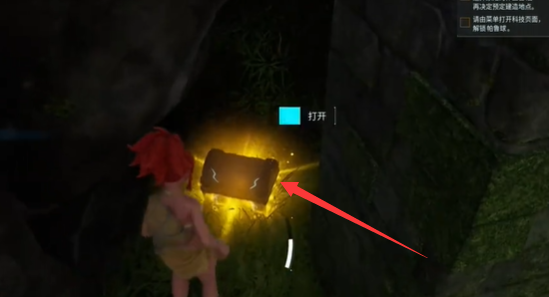 ������³ɭ��������������