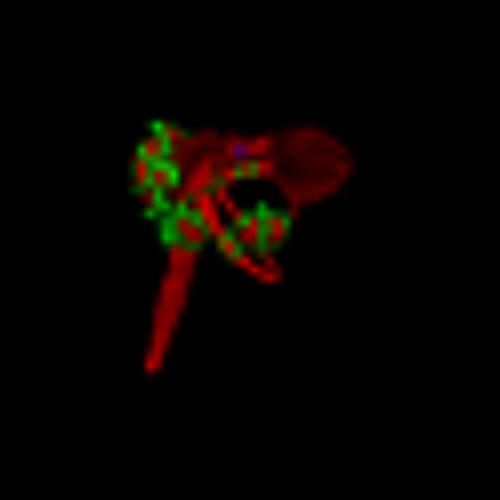 ����Ӣ�۴��ٻ���������������һ��