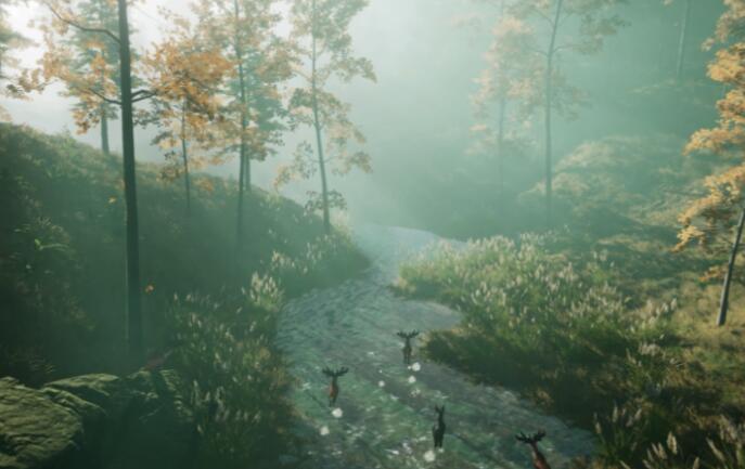 ������������������ô��