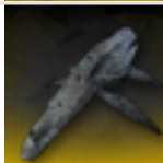 ������˹���ϻ�ȡ��������