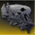 ������˹���ϻ�ȡ��������