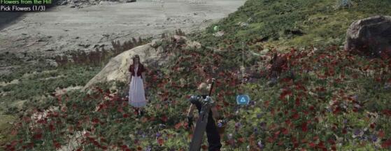最终幻想7重生山丘上绽放的花在哪里