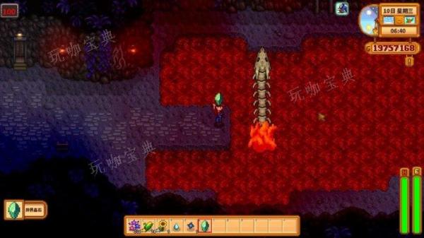 ����¶������ʺ�è֮����ô���