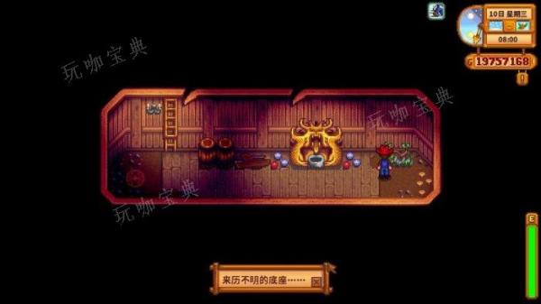 ����¶������ʺ�è֮����ô���