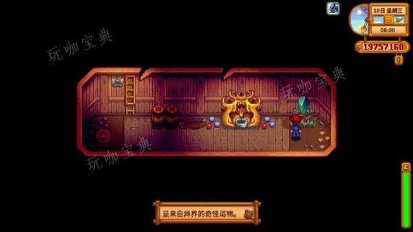 ����¶������ʺ�è֮����ô���