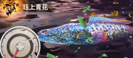 ���ֵ����ʦ�����໨��ô��