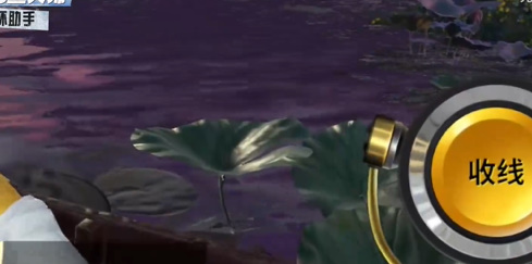 ���ֵ����ʦ�������㼼�ɽ���