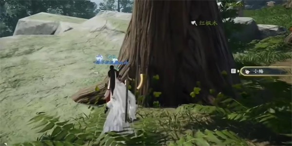 ������κ쳾Ϸ������ˮ�ɾ���ô���