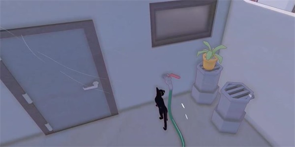 Сè������͵��԰������ͳɾ���ô���