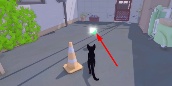 Сè�������ڹ�ñ��ô���