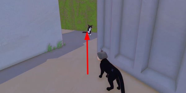 Сè�������ճ����ݶ�����ȡ����