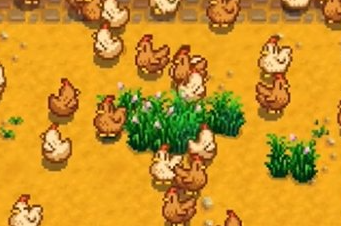 ��¶��������ô�����ʴ�