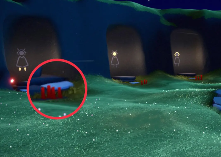 ����5��21��ÿ��������ɹ���