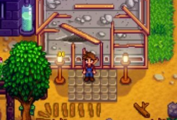 ��¶��������ô�Զ��վ�