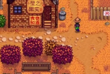 ��¶�����ﶬ����ô���߲�