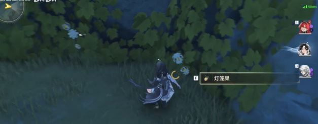 ����������������ɼ�