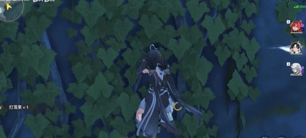 ����������������ɼ�