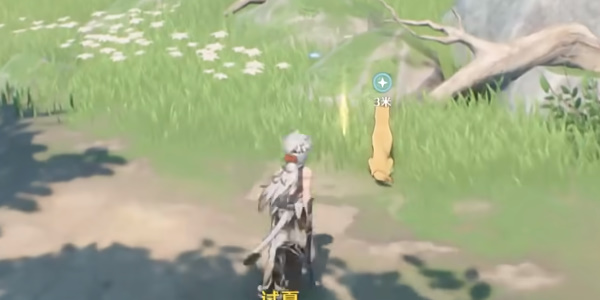 ������ȥ��������������ô��