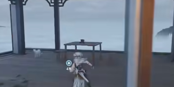 ������ȥ��������������ô��