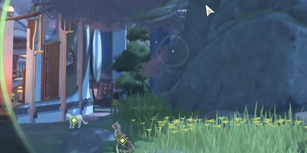 �����������������ɹ���