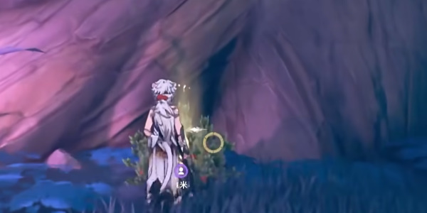 ����ХҰ���������ɹ���