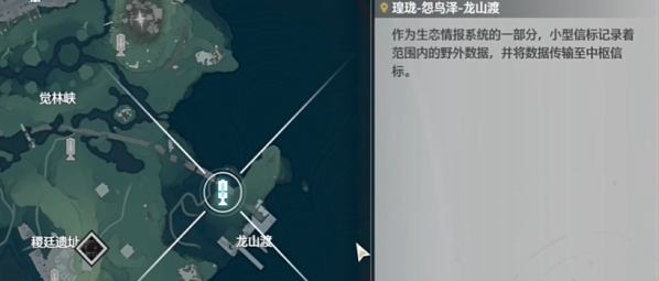 ����Թ���������ɹ���