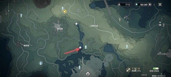 �������¹��ս�ɭ��������ô��