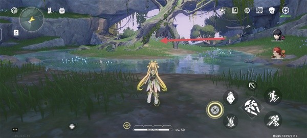 �������¹��ս�ɭ��������ô��