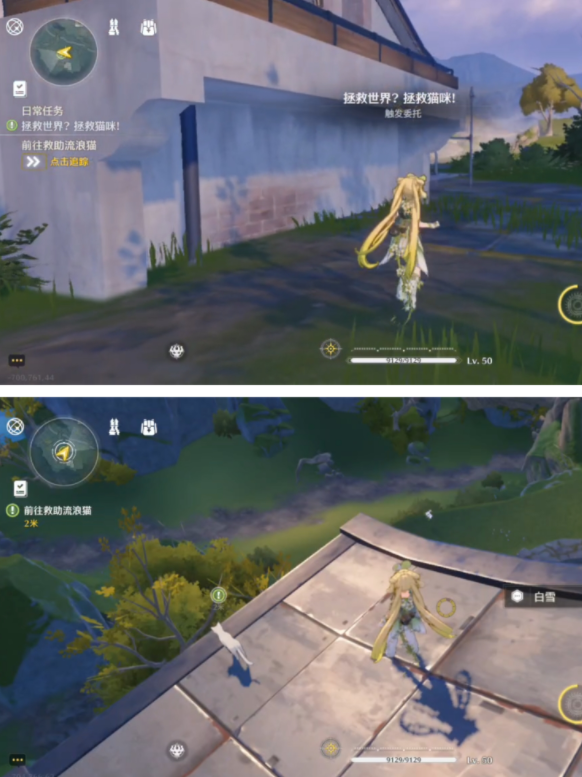 ����������ѩ������ɹ���