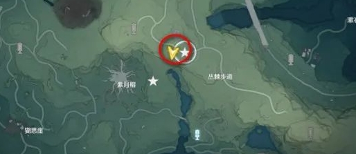 ��������bossλ�ý���