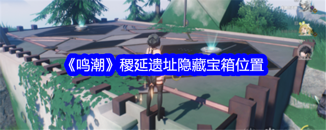 ���������ַ���ر�������