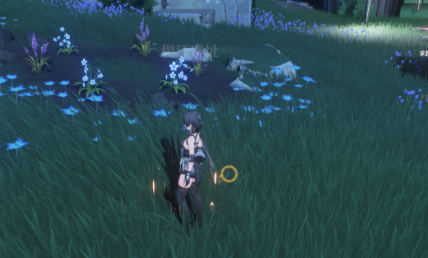 ���������ַ���ر�������