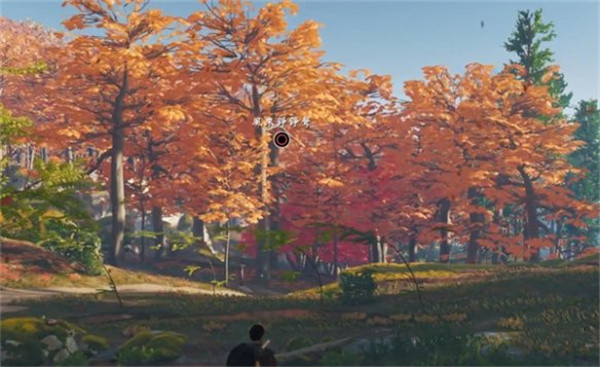 ������֮������ͷ����ô���