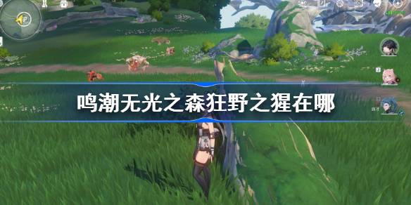 �����޹�֮ɭ��Ұ֮������