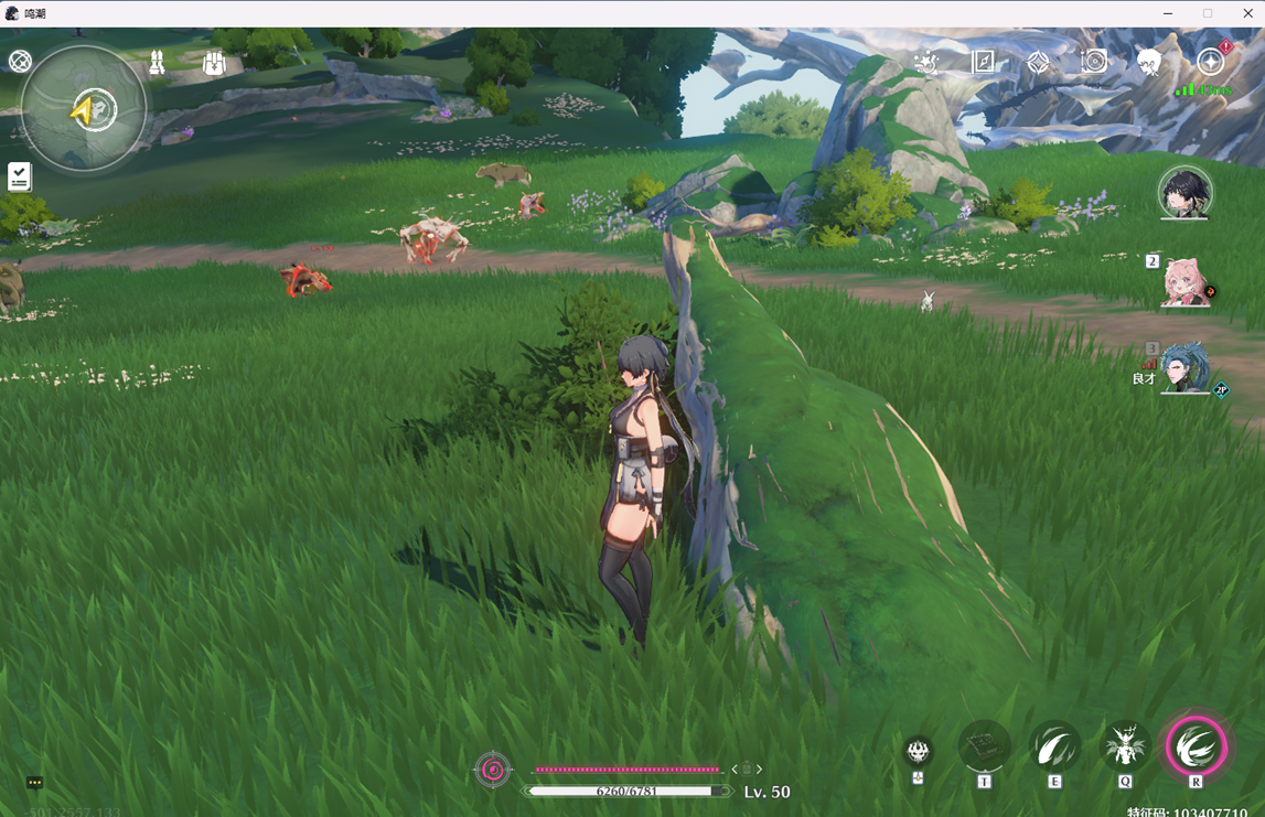 �����޹�֮ɭ��Ұ֮������