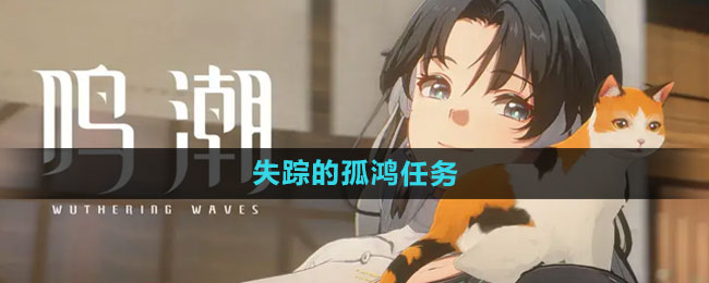 ����ʧ�ٵĹº�������ô��