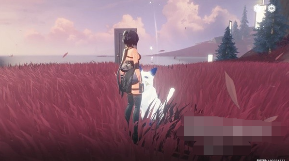 ������֮���������澳������