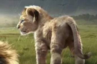 Ұ�������������Ƽ����ݴ��乥��