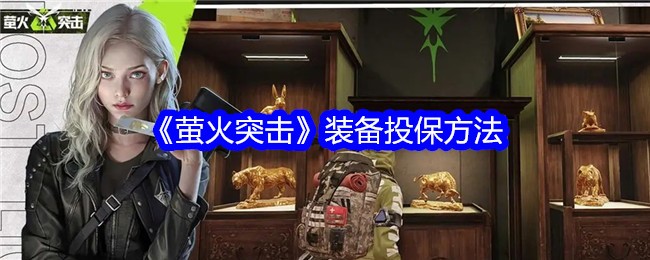 ө��ͻ��װ��Ͷ������