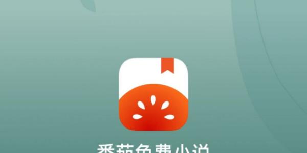 ����С˵����������