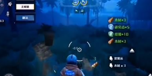 ��������ǵ�������������ȼ�����