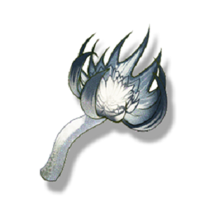 ������ӿ�����Ĳɼ�