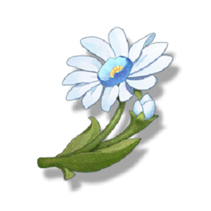 ���������Ӳɼ�·��ͼ